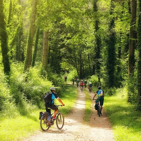 App Lidia Apartamento Grožnjan