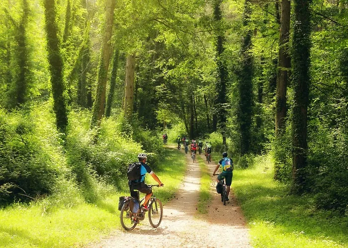 App Lidia Apartman Groznjan