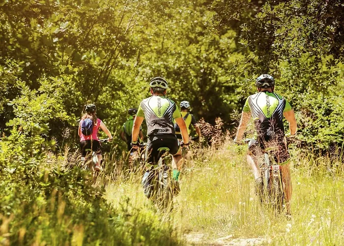 App Lidia * Groznjan